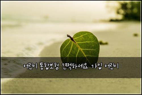 어린이 통합보험 견적하세요  가입 어린이