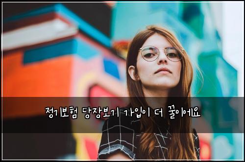 정기보험 당장보기  가입이 더 꿀이에요