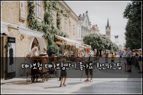 태아보험 태아보험만기 좋나요 확인하는팁