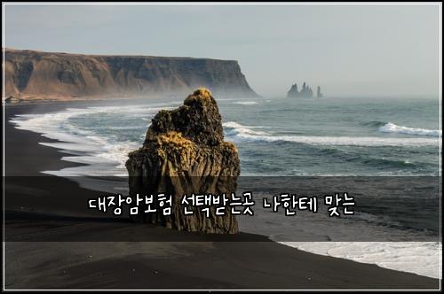 대장암보험 선택받는곳  나한테 맞는 
