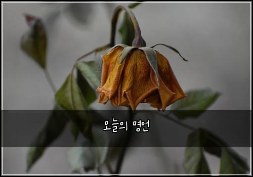 오늘의 명언