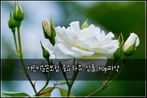 ์ด๋ฆฐ์ด์ค์๋ณดํ ์ค์ํ์ฅฌ ์ํ topํ์