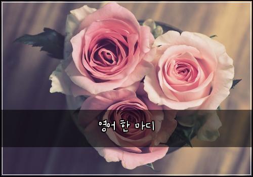 영어 한 마디