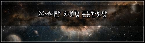 26세미만 차보험 튼튼한보장 