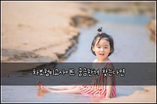 차보험비교사이트 궁금한거 찾는다면