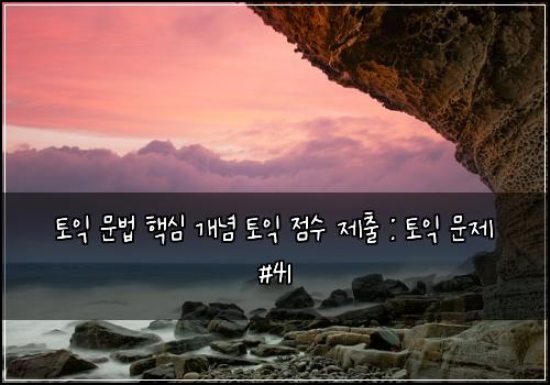토익 문법 핵심 개념 토익 점수 제출 : 토익 문제 #41