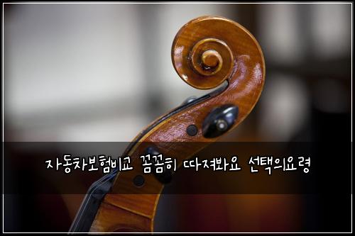 ์๋์ฐจ๋ณดํ๋น๊ต ๊ผผ๊ผผํ ๋ฐ์ ธ๋ด์ ์ ํ์์๋ น