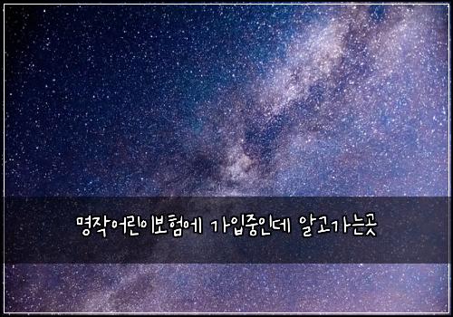 명작어린이보험에 가입중인데 알고가는곳