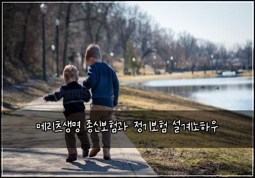 메리츠생명 종신보험과 정기보험 설계노하우