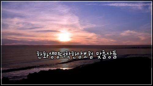 ํํ์๋ช
๋์ฐฉํ์๋ณดํ ๋ง์ถค์ํ
