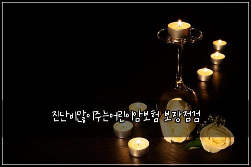 ์ง๋จ๋น๋ง์ด์ฃผ๋์ด๋ฆฐ์ด์๋ณดํ ๋ณด์ฅ์ ๊ฒ