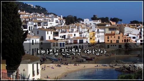 νμ보ν μ§λ¨νΉμ½ μ¬μλ¨μ