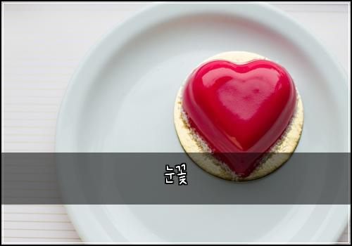눈꽃