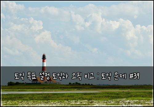 토익 목표 설정 토익과 오픽 비교 : 토익 문제 #39