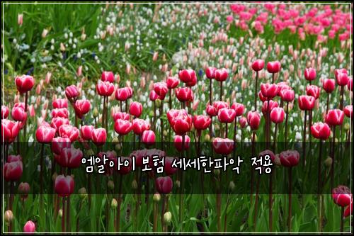 엠알아이 보험 세세한파악  적용