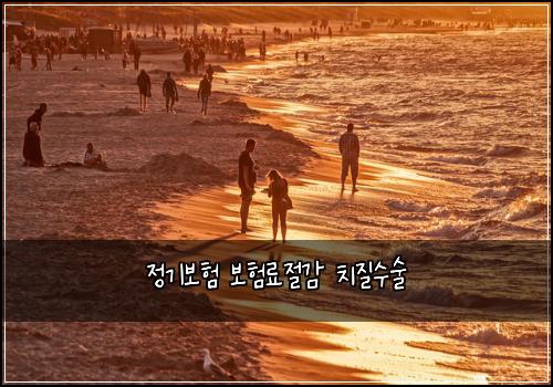 정기보험 보험료절감  치질수술