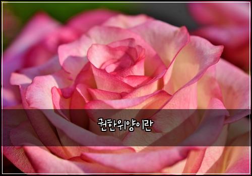 권한위양이란