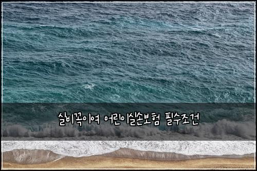 실비꼭이여 어린이실손보험 필수조건 