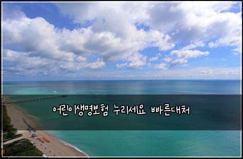 어린이생명보험 누리세요  빠른대처