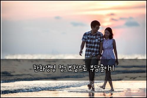 한화생명 정기보험으로 부담줄이기