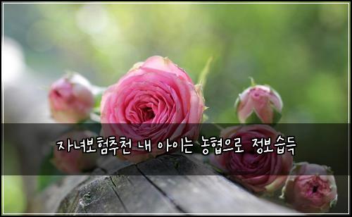 자녀보험추천 내 아이는 농협으로 정보습득