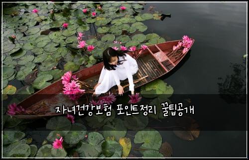 자녀건강보험 포인트정리  꿀팁공개