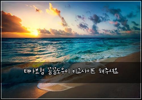 태아보험 꼼꼼도우미  비교사이트 해주셔요