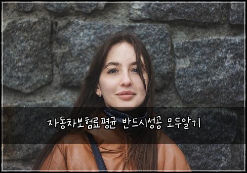자동차보험료평균 반드시성공 모두알기