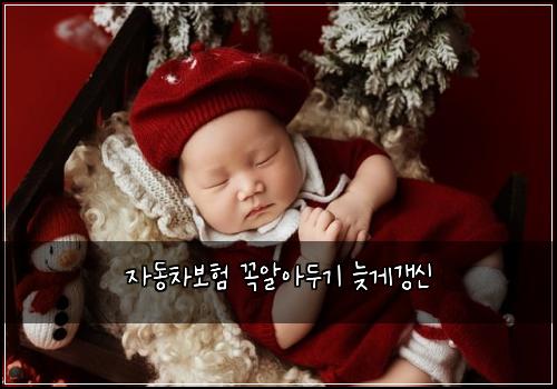 자동차보험 꼭알아두기  늦게갱신