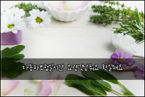 자동차보험실시간 요령껏낮춰요 확실해요