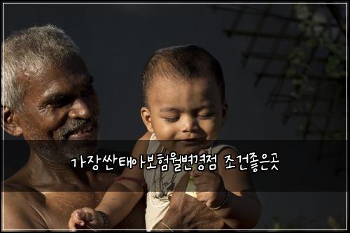 가장싼태아보험월변경점 조건좋은곳