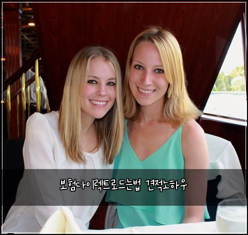 보험다이렉트로드는법 견적노하우