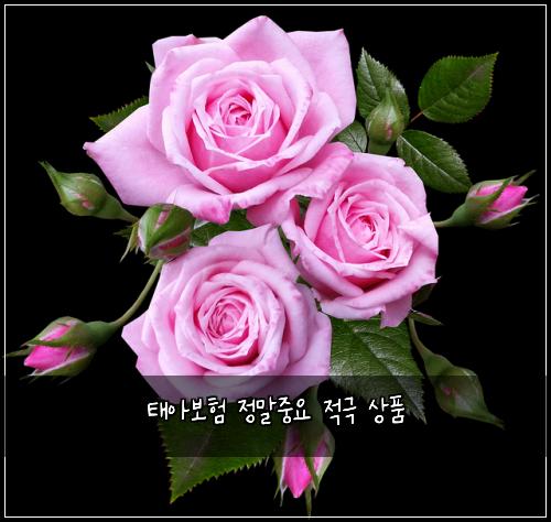 태아보험 정말중요  적극 상품