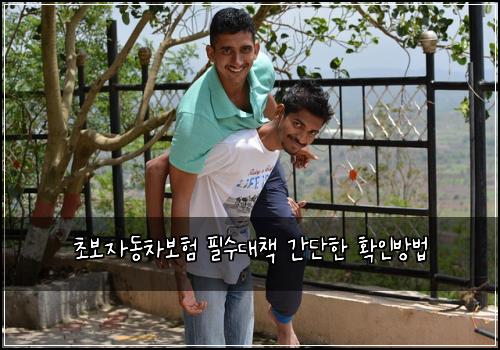 초보자동차보험 필수대책  간단한 확인방법