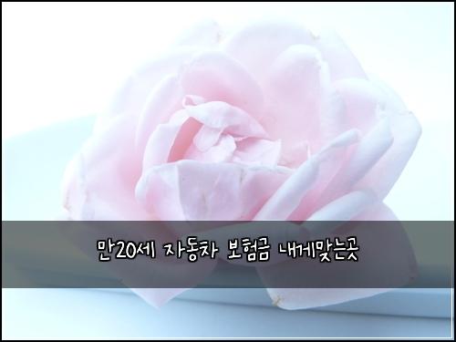 만20세 자동차 보험금 내게맞는곳