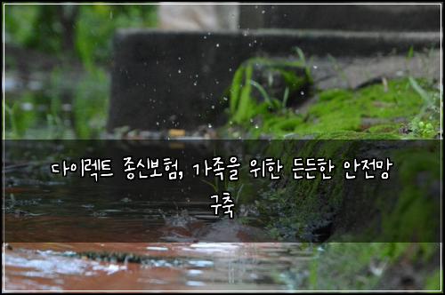 다이렉트 종신보험, 가족을 위한 든든한 안전망 구축