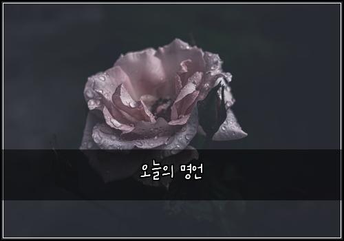 오늘의 명언