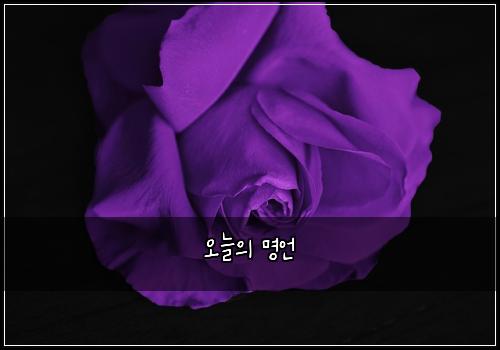 오늘의 명언