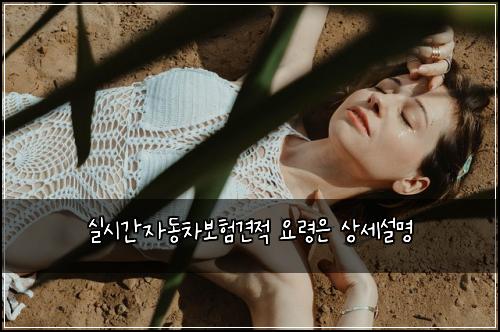 실시간자동차보험견적 요령은 상세설명