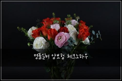 명품실버 암보험 체크노하우 