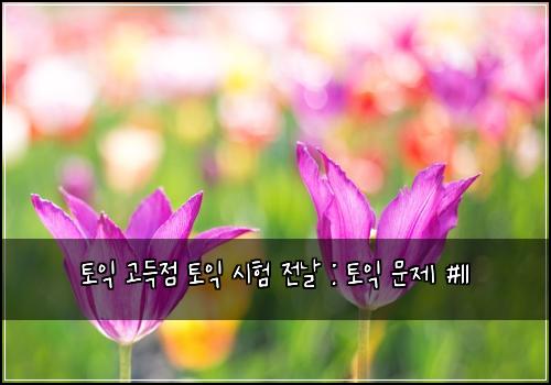 토익 고득점 토익 시험 전날 : 토익 문제 #11