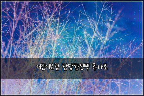 어린이보험 합당한선택  추가로