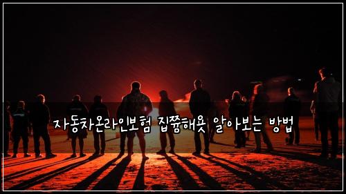 자동차온라인보험 집쯍해욧  알아보는 방법