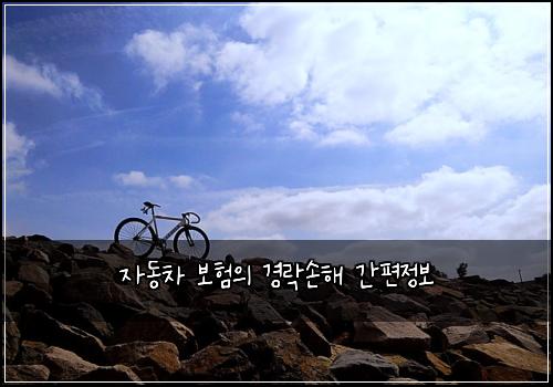 자동차 보험의 경락손해 간편정보