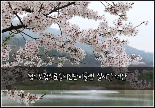 정기보험의료실비진단비플랜 실시간계산