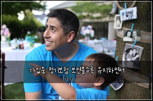 가입중 정기보험 보면볼수록  유지하면서