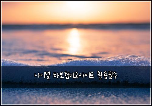 나이별 차보험비교사이트 활용필수