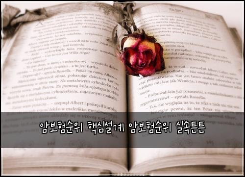 암보험순위 핵심설계 암보험순위 실속튼튼