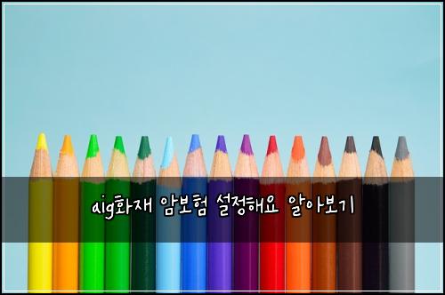 aig화재 암보험 설정해요  알아보기