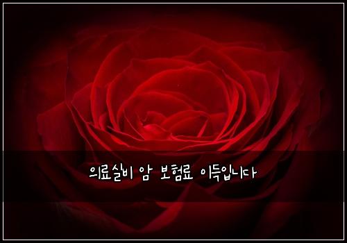 의료실비 암 보험료 이득입니다
